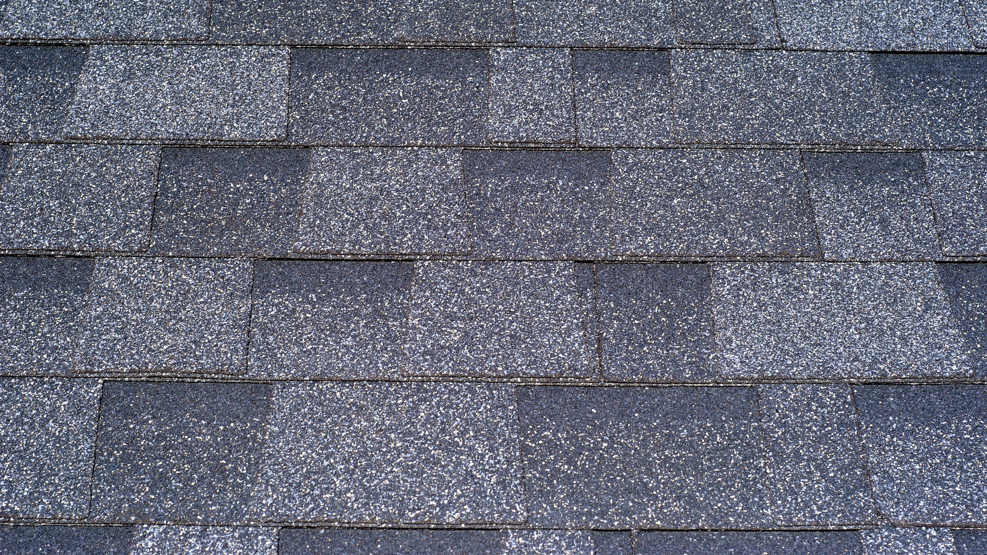 Shingle Granule Loss Repair Services Willow Ash Roofing SC