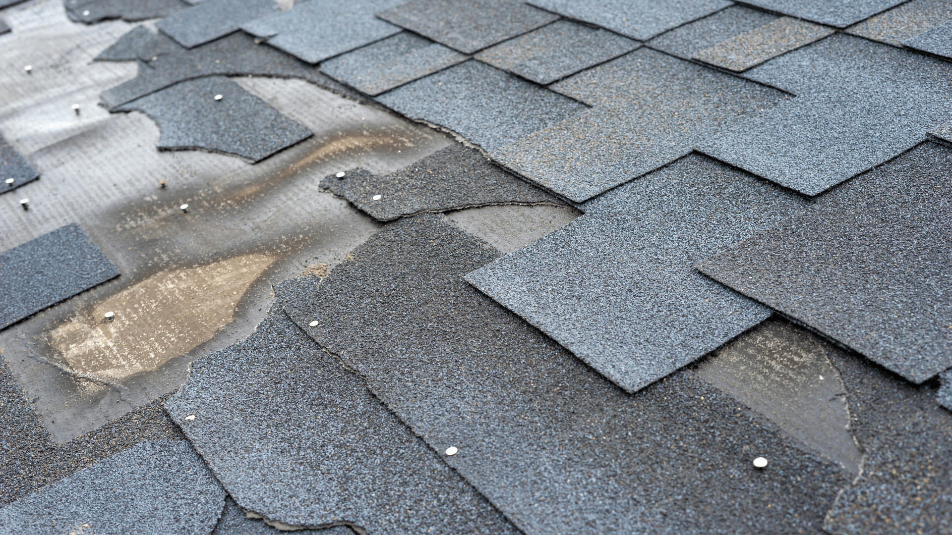Cracked Shingle Services Willow Ash Roofing SC