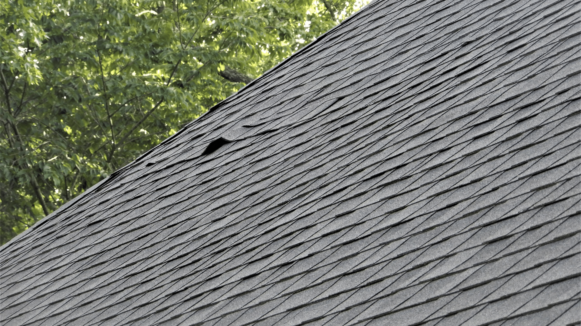 Repair Sagging Roof Lines Uneven Surfaces Willow Ash Roofing SC