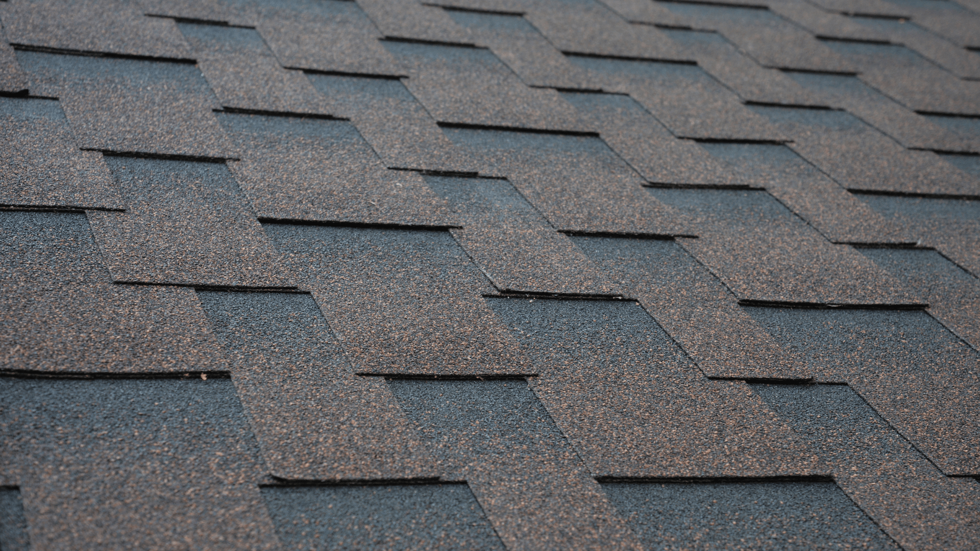 Fiberglass Shingle Roofing Contractor Willow Ash Roofing SC