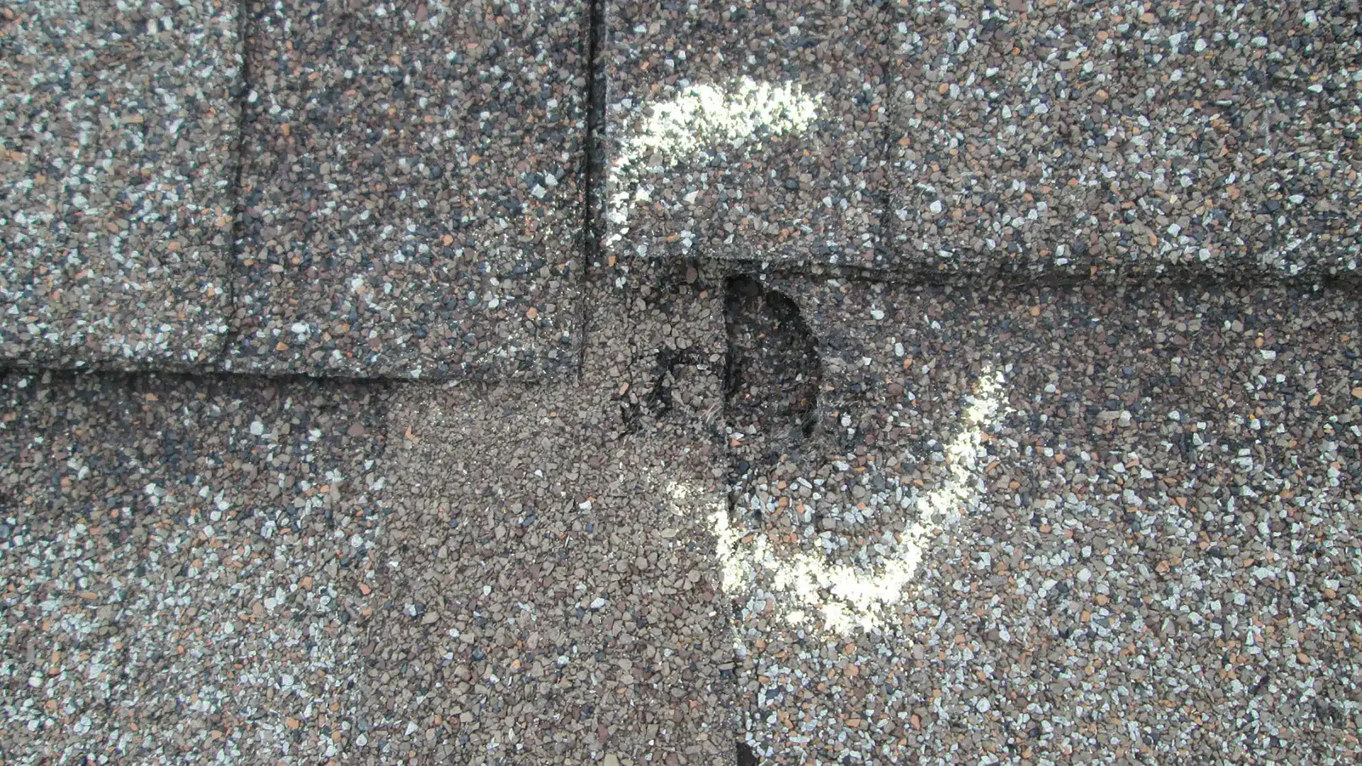 Insurance Claims Roofing Service Willow Ash Roofing SC