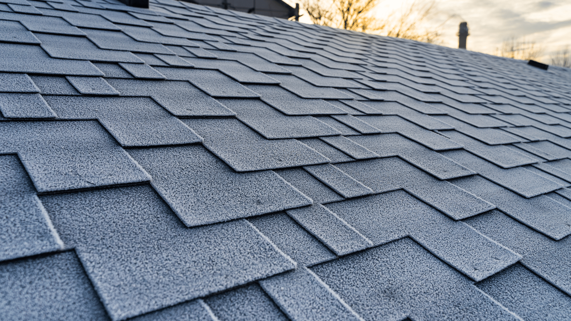 Designer Luxury Shingle Roofing Contractor Willow Ash Roofing SC