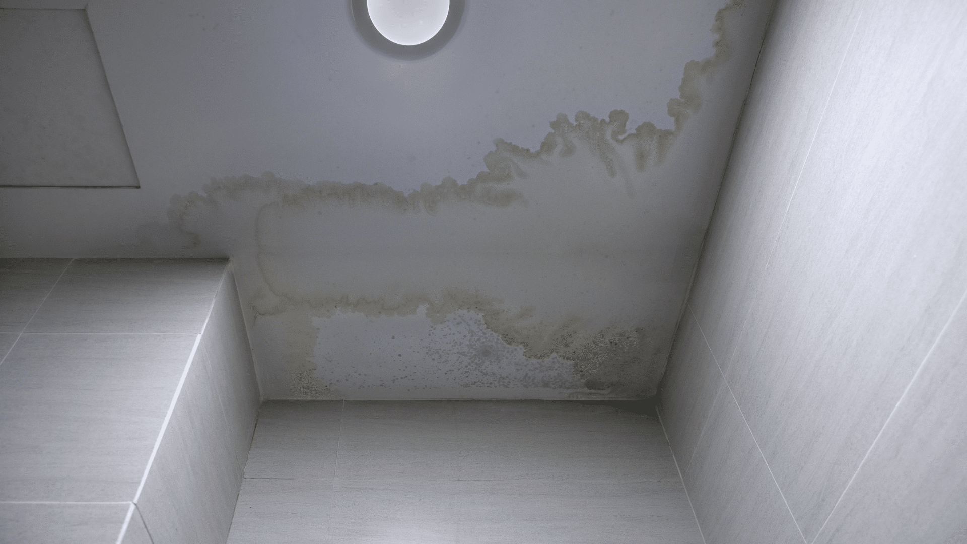 Roof Leak Stain Repair Services Willow Ash Roofing SC