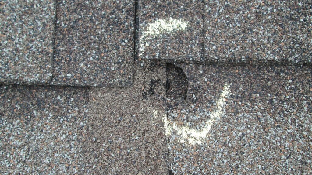 Why Coastal Homeowners Are Choosing Impact Rated Shingles After Helene Shingle Damage Willow Ash Roofing SC