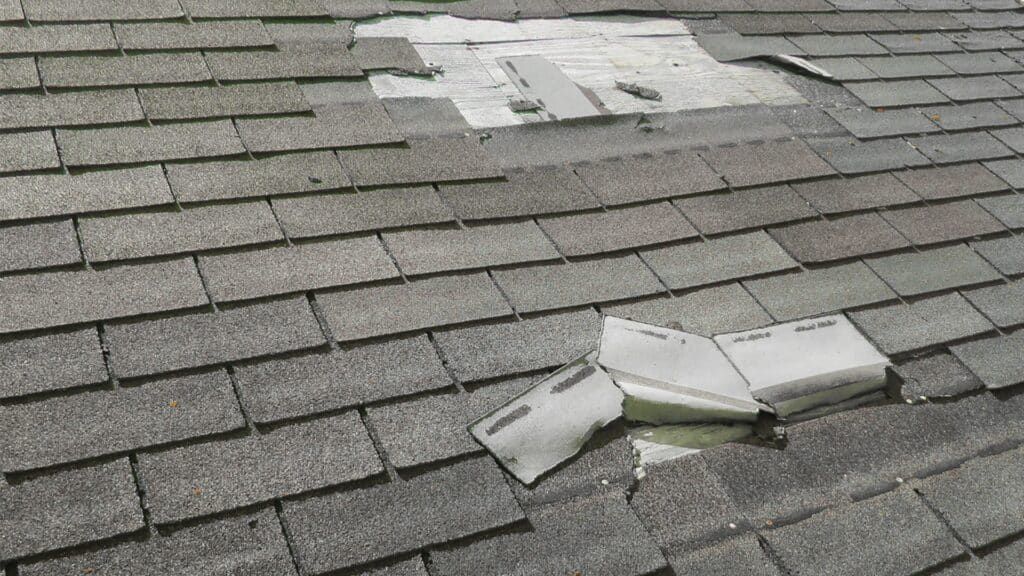 The Charleston Coastal Homeowner's Guide to Roofing Near the Ocean Shingle Roof Damage South Carolina Storms Willow Ash Roofing SC