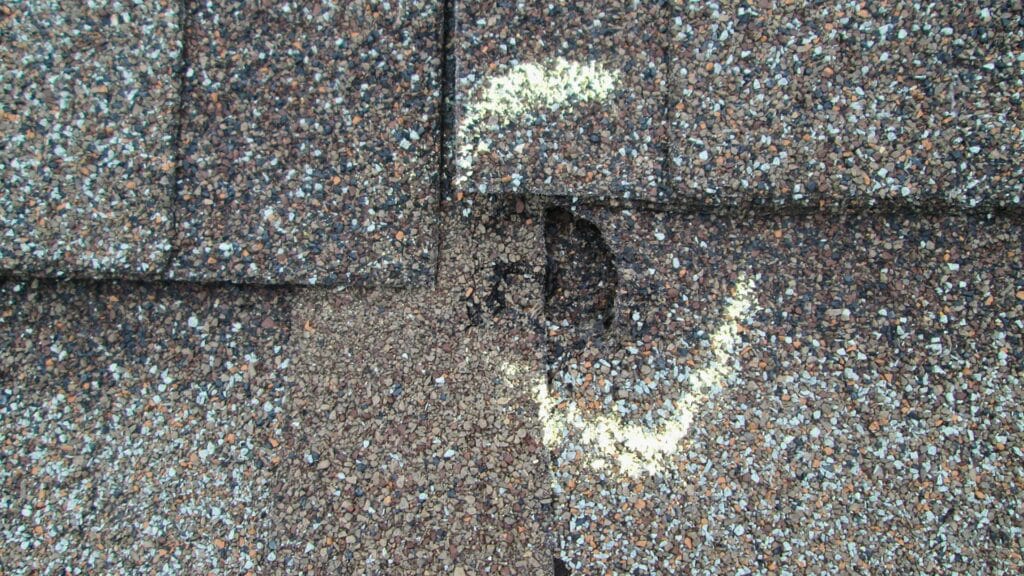 The South Carolina Homeowner's Guide to Roof Insurance Claims Roof Hail Daamge Willow Ash Roofing SC