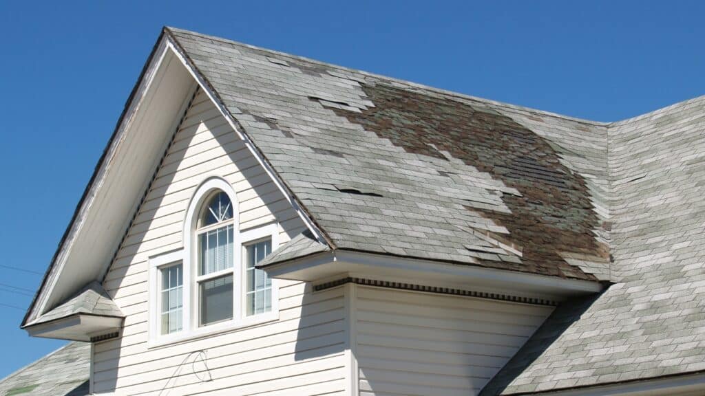 The South Carolina Homeowner's Guide to Roof Insurance Claims Roof Shingle Damage Willow Ash Roofing SC