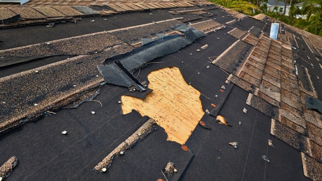 The South Carolina Homeowner's Guide to Roof Insurance Claims Storm Roof Damage Willow Ash Roofing SC